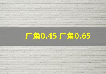 广角0.45 广角0.65